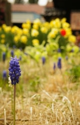 大子町　宮田邸