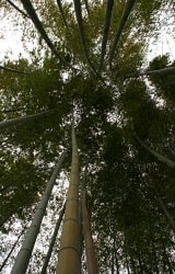 大子町　宮田邸