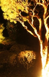 大子町　宮田邸